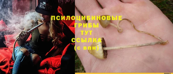 каннабис Аркадак